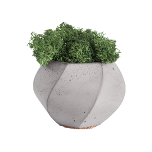 Plants & Planters3